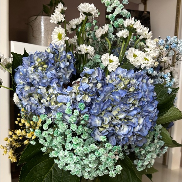 Meet your Posher, Morgan - Picture 1 of 1